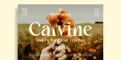 Calvine Font Poster 1