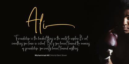 Hulya Script Font Poster 10