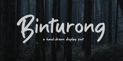 Binturong Font Poster 1