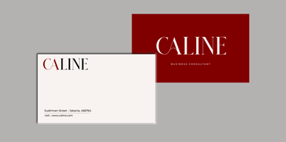 Calina Font Poster 3