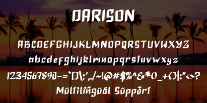 Darison Font Poster 5