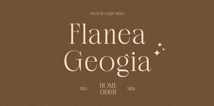 Canesa Font Poster 9