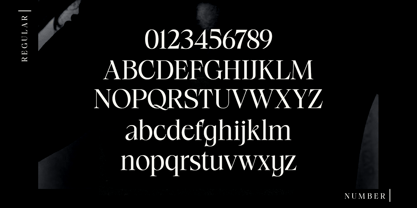 Radilen Aveline Font Poster 14