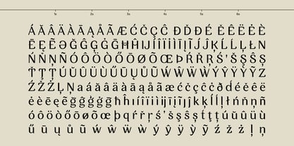 Zorzal Font Poster 5