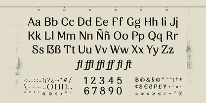 Zorzal Font Poster 3