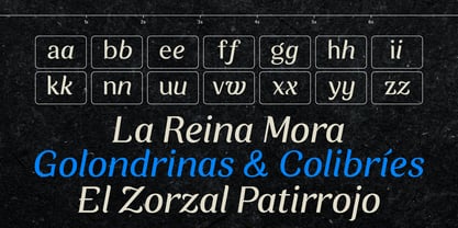 Zorzal Font Poster 4