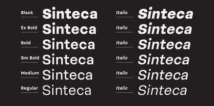 Sinteca Font Poster 2