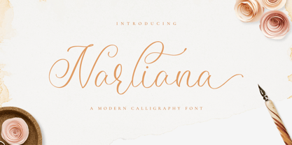 Narliana Font Poster 1