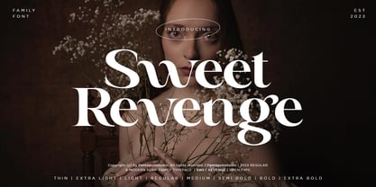 Sweet Revenge PS Font Poster 1