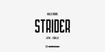 Strider Font Poster 1