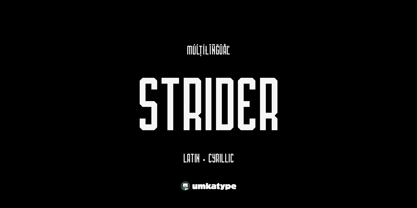 Strider Font Poster 12