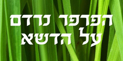 Almenat MF Font Poster 4