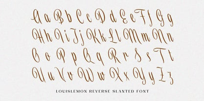 Louislemon Font Poster 9