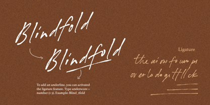 Blindfold Font Poster 5