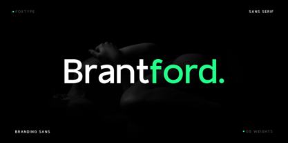 Brant Ford Font Poster 1
