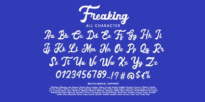 Freaking Font Poster 8