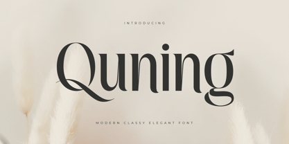 Quning Font Poster 1