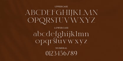 Classy Font Poster 2