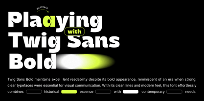 Twig Sans Bold Font Poster 2