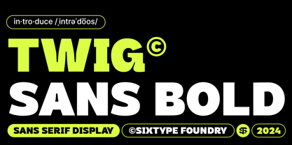 Twig Sans Bold Font Poster 1