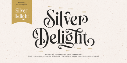 Silver Delight Font Poster 8