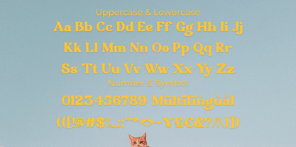 Ripe Mango Font Poster 12