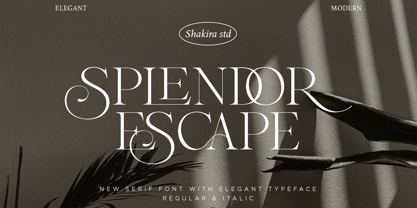 Splendor Escape Font Poster 1