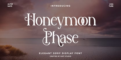 Honeymoon Phase Font Poster 1
