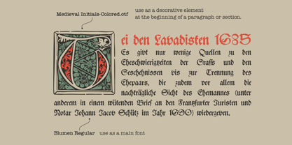 Medieval Initials Font Poster 8