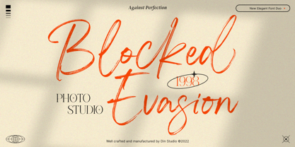 Against Perfection Font Poster 5