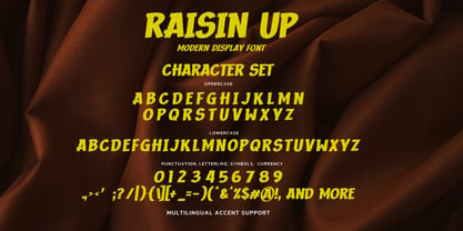 Raisin Up Font Poster 6