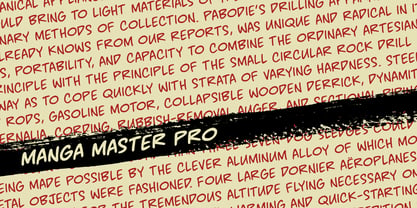 Manga Master Pro BB Fuente Póster 3