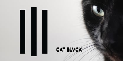 Cat Blvck Font Poster 1