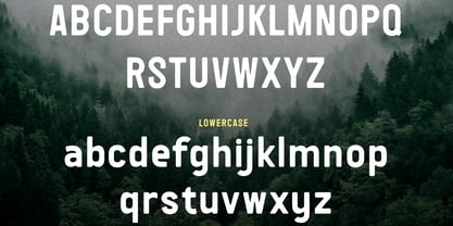 Wolfers Font Poster 7