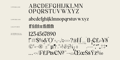 Memogram Font Poster 7