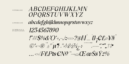 Memogram Font Poster 8