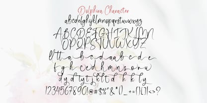 Dolphina Font Poster 9