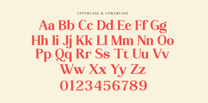 Reding Font Poster 14