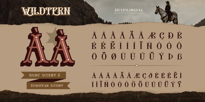 The Wildtern Font Poster 11