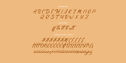 Dashthyn Font Poster 11