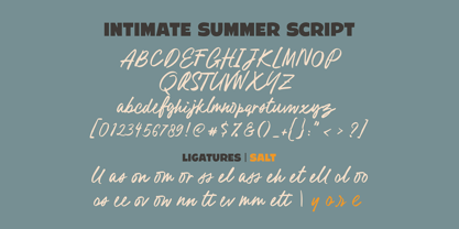 Intimate Summer Font Poster 14