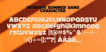 Intimate Summer Font Poster 13