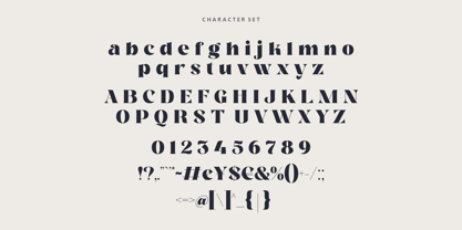 Molra Beauty Font Poster 10