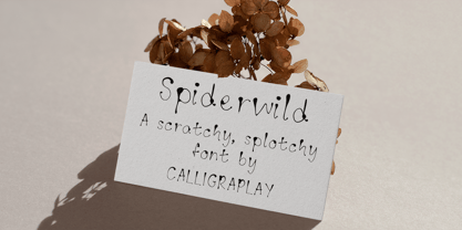 Spiderwild Font Poster 9