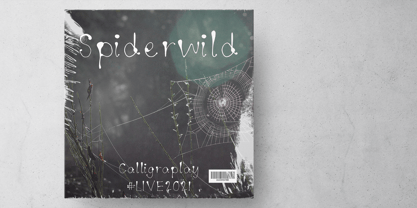 Spiderwild Font Poster 6