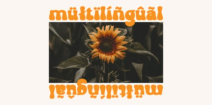 Groovy Orange Font Poster 10