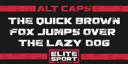 Elite Sport Distressed Font Poster 3