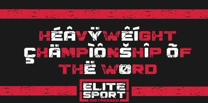 Elite Sport Distressed Font Poster 6