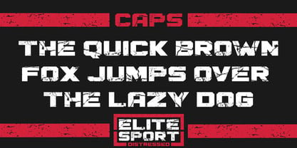 Elite Sport Distressed Font Poster 2