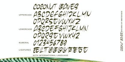 Coconut Leaves Font Poster 10